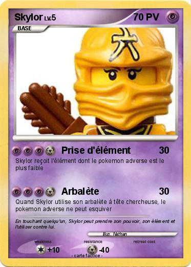 Pokemon Skylor