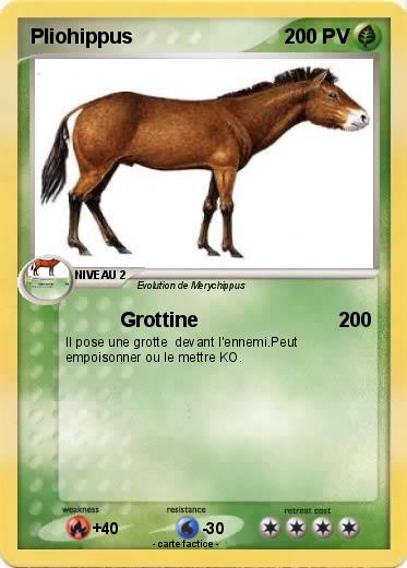 Pokemon Pliohippus