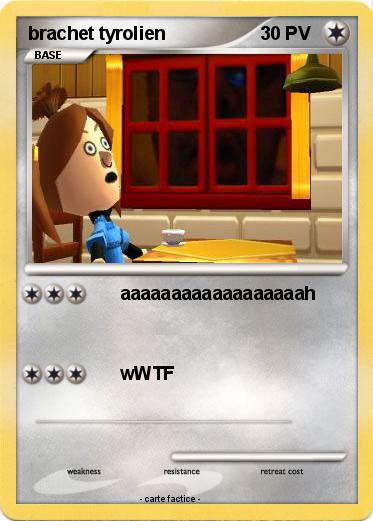 Pokemon brachet tyrolien