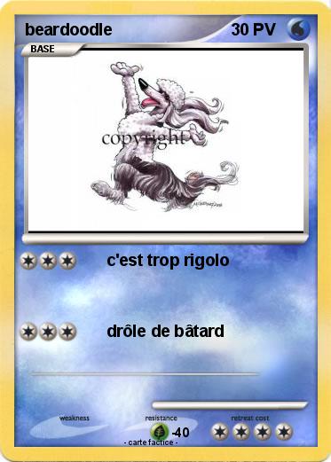 Pokemon beardoodle