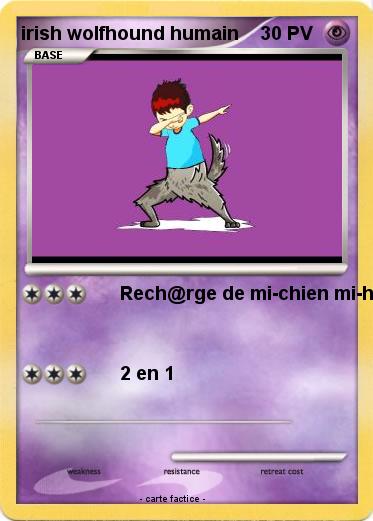 Pokemon irish wolfhound humain