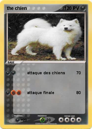 Pokemon the chien