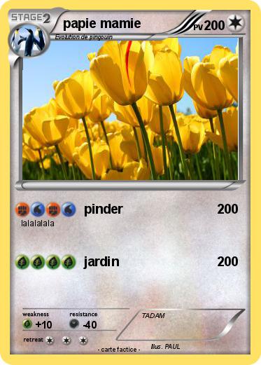 Pokemon papie mamie