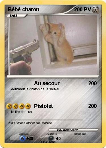 Pokemon Bébé chaton