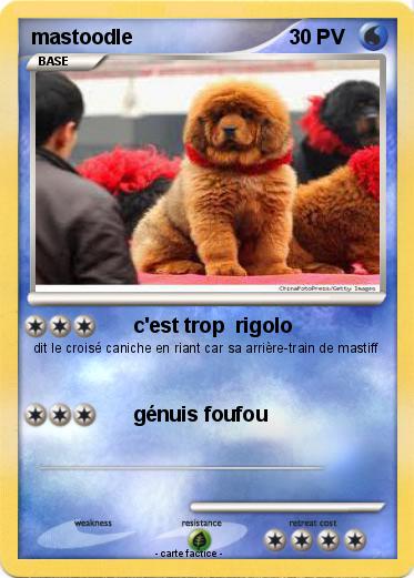 Pokemon mastoodle