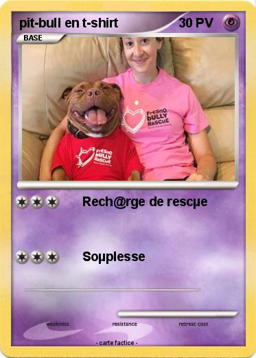 Pokemon pit-bull en t-shirt