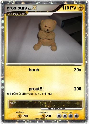 Pokemon gros ours