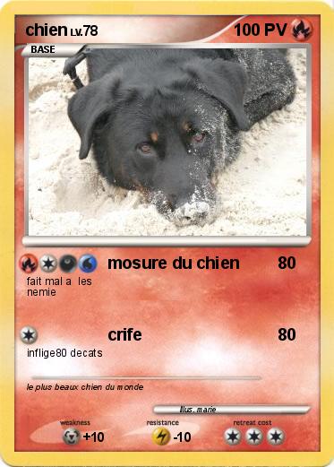 Pokemon chien