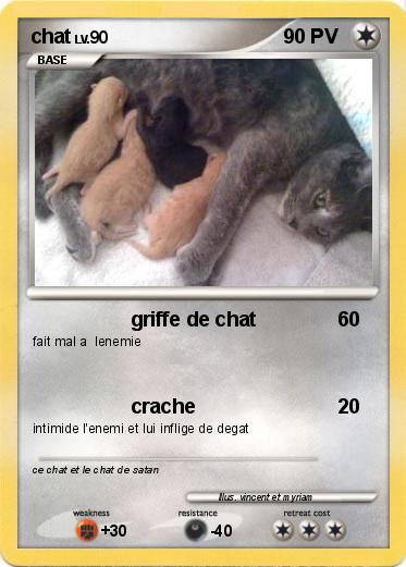 Pokemon chat