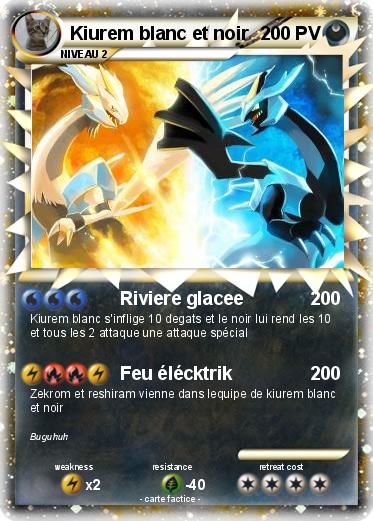 Pokemon Kiurem blanc et noir