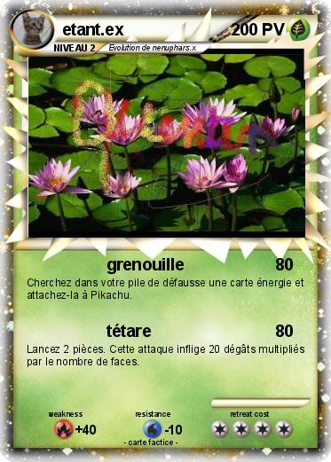 Pokemon etant.ex
