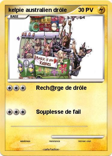 Pokemon kelpie australien drôle