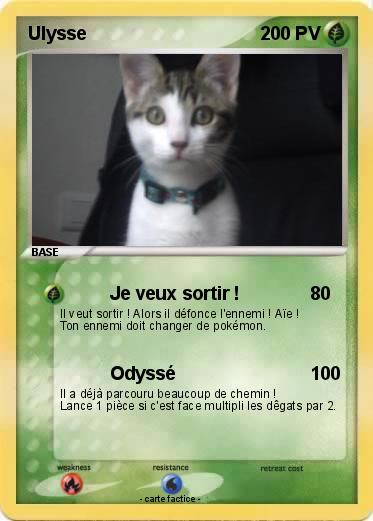 Pokemon Ulysse