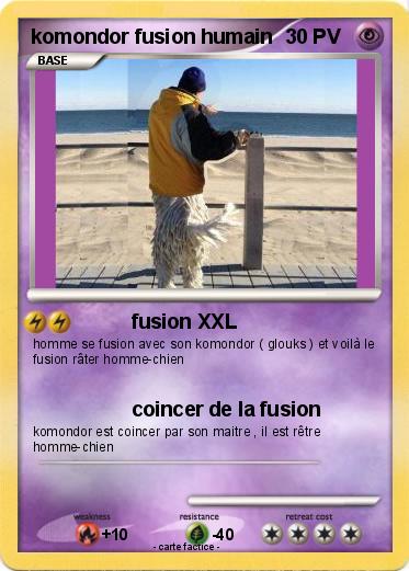 Pokemon komondor fusion humain