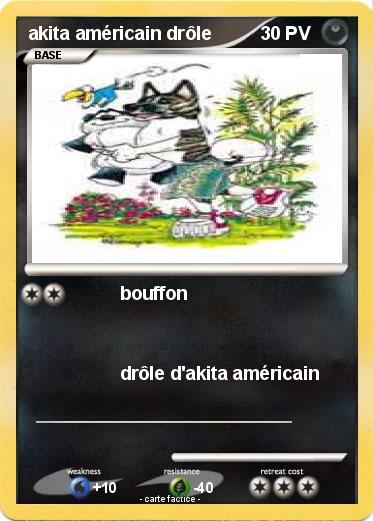 Pokemon akita américain drôle
