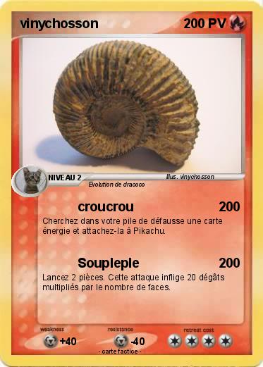 Pokemon vinychosson
