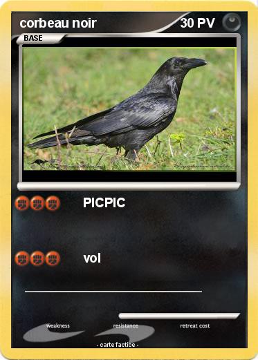 Pokemon corbeau noir