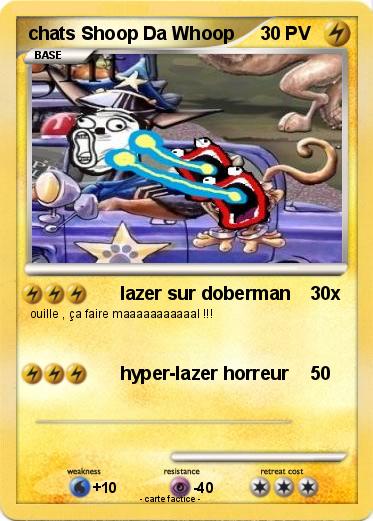 Pokemon chats Shoop Da Whoop