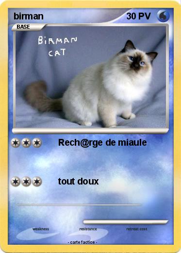Pokemon birman