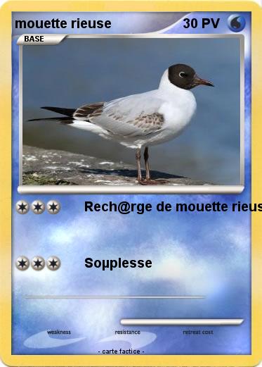 Pokemon mouette rieuse