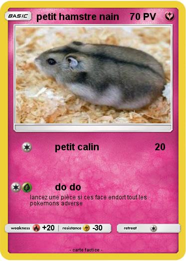 Pokemon petit hamstre nain