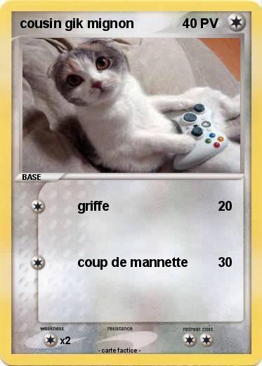 Pokemon cousin gik mignon