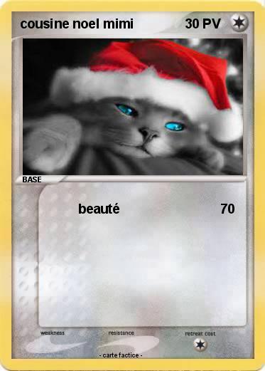 Pokemon cousine noel mimi