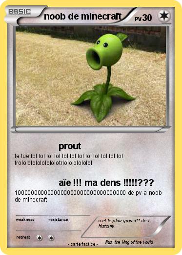 Pokemon noob de minecraft