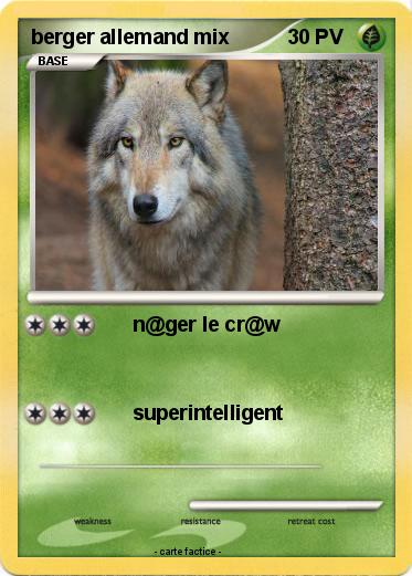 Pokemon berger allemand mix