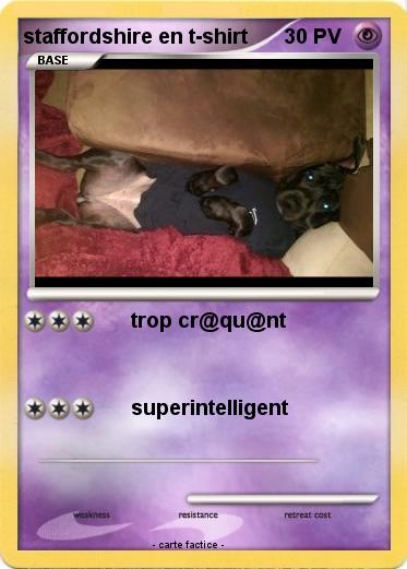 Pokemon staffordshire en t-shirt