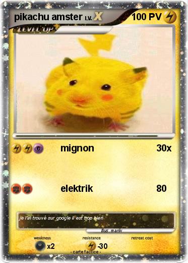 Pokemon pikachu amster