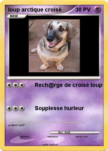 Pokemon loup arctique croisé