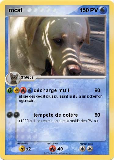 Pokemon rocat