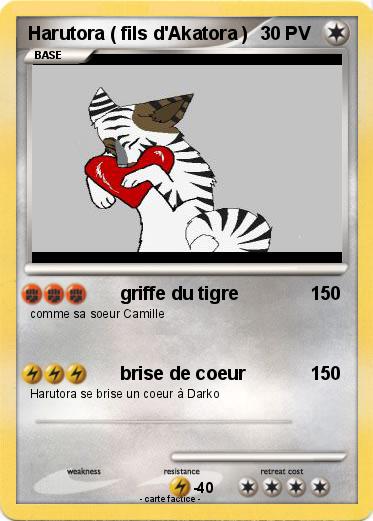 Pokemon Harutora ( fils d'Akatora )