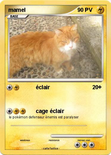 Pokemon mamel