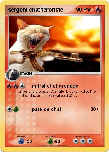 Pokemon sergent chat teroriste