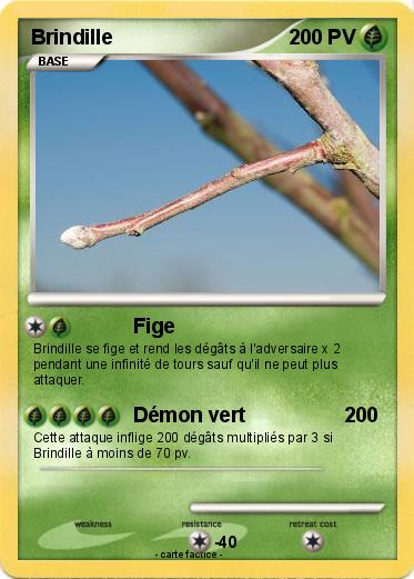 Pokemon Brindille