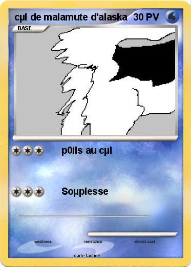 Pokemon cµl de malamute d'alaska