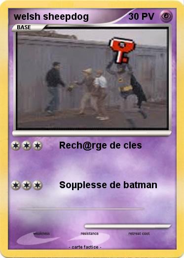 Pokemon welsh sheepdog