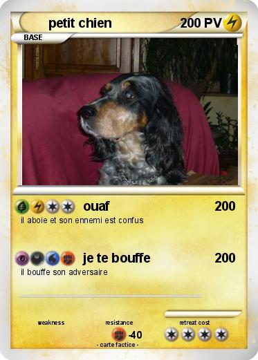 Pokemon petit chien