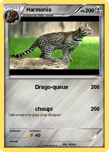 Pokemon Harmonia