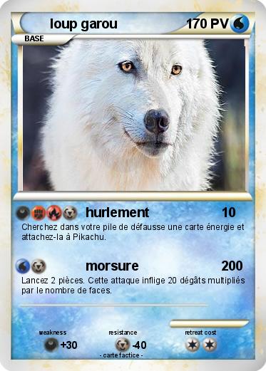 Pokemon loup garou