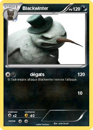 Pokemon Blackwinter