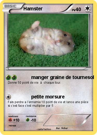 Pokemon Hamster