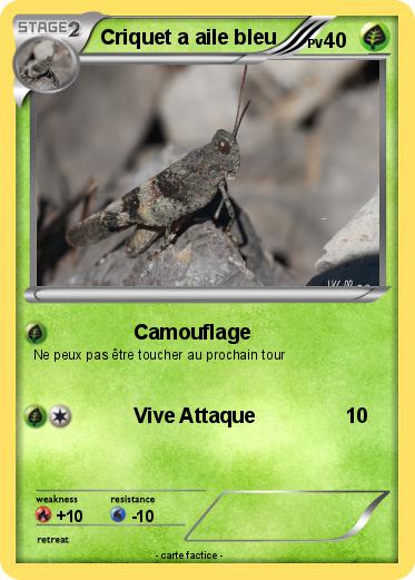 Pokemon Criquet a aile bleu