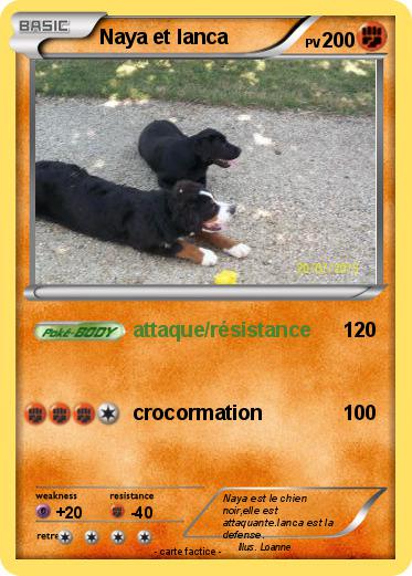 Pokemon Naya et Ianca