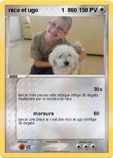 Pokemon nico et ugo               1  860    