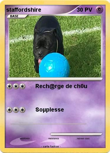 Pokemon staffordshire