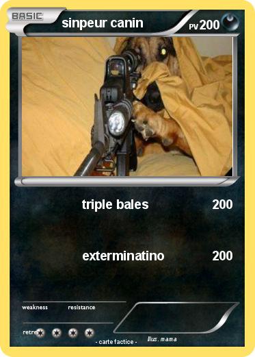 Pokemon sinpeur canin