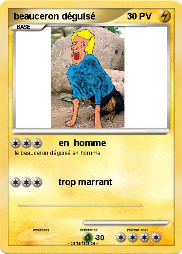 Pokemon beauceron déguisé